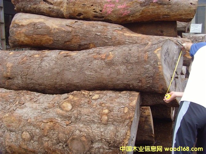 Ƥ�ң�����̴��