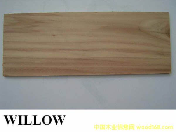 FSCľ��:����(gu��)��ľ