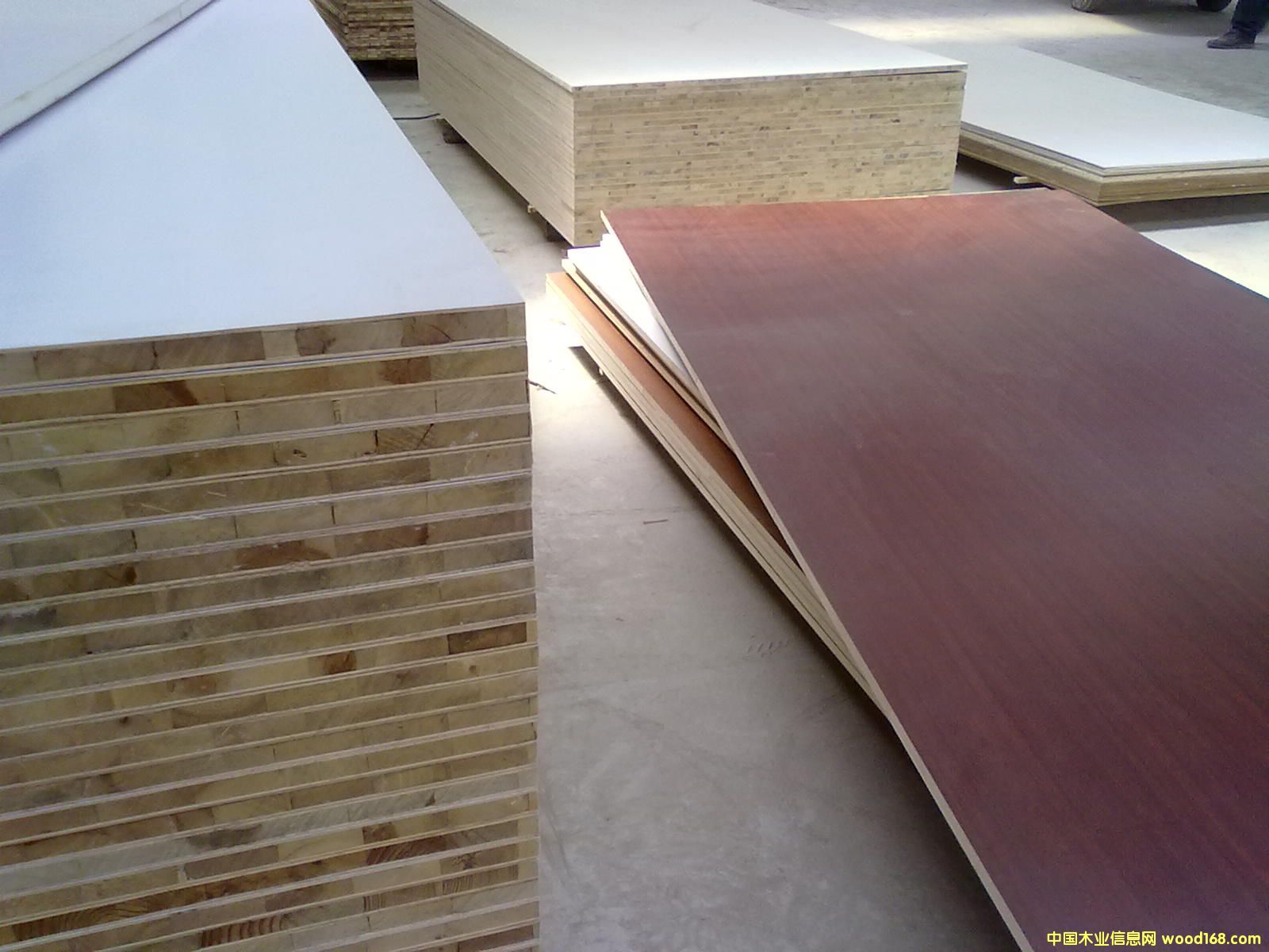 �����谷�N�漚(x��)ľ����