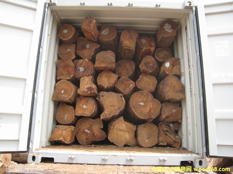 ������ԭľ