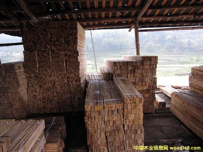 ľ����ľ�������