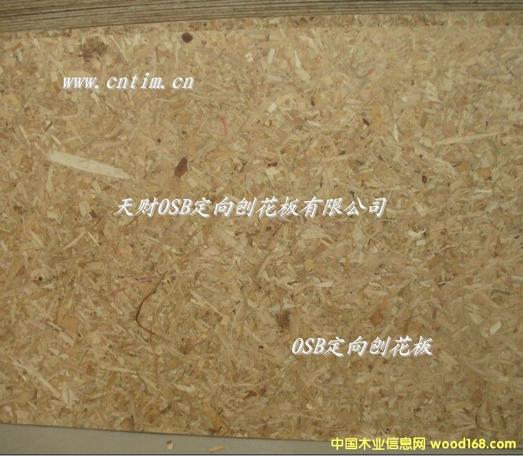 OSB�����ٻ���3