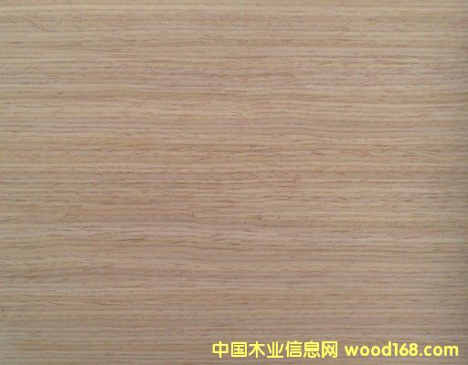 ��������ľƤ��Ԕ��(x��)��B