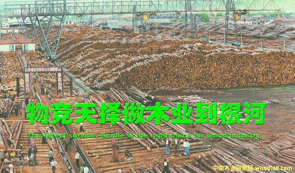 ԭľ؛����Ԕ����B