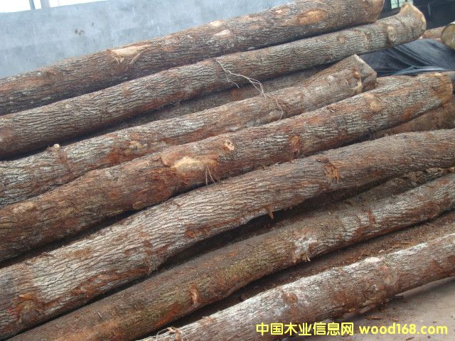 �c(di��n)���鿴�W��ԭľ�Ŵ�DƬ