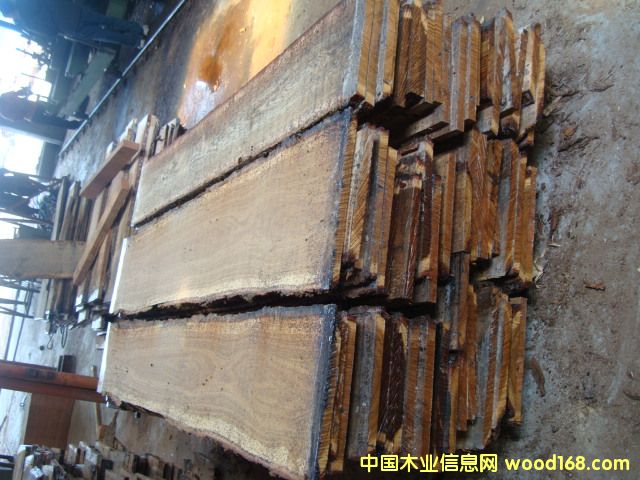 ��Ȼ�����L(zh��ng)������ľ���