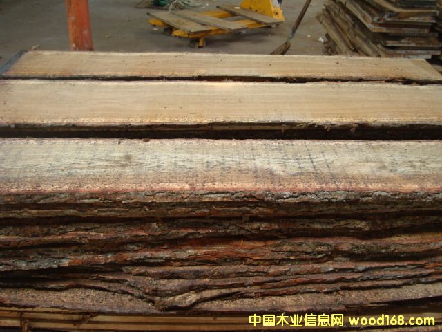 ��Ȼ�����L(zh��ng)������ľ���2