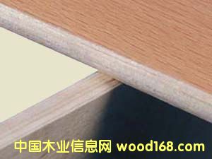 ��֬����l11