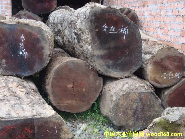 �c(di��n)���鿴��z�ľԭľ�Ŵ�DƬ