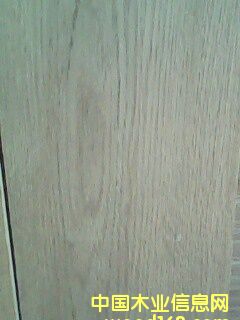 ���_˹��ľ������)