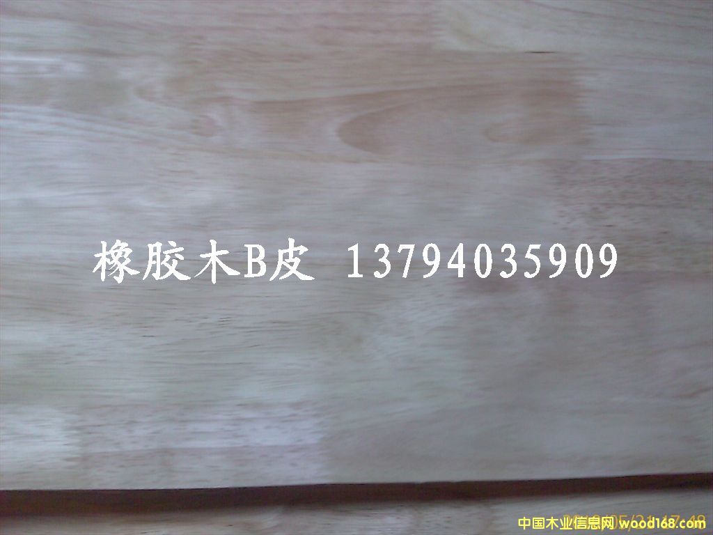 ���zľƤ��Ԕ��(x��)��B