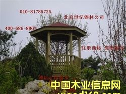 ����ľͤ��