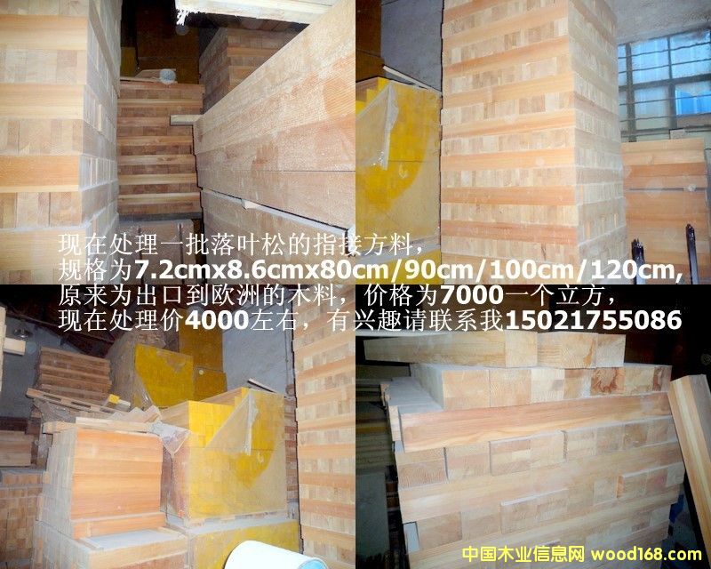 ���~�ɼ��ɲ�