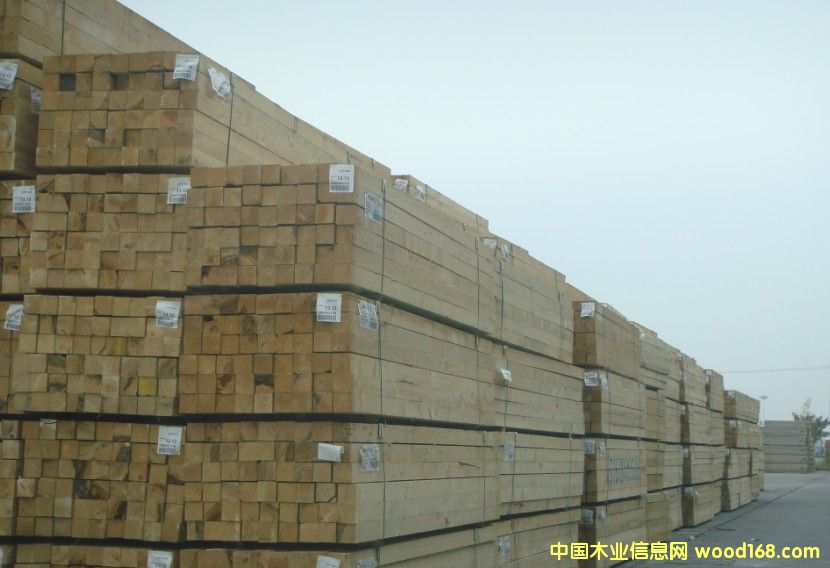 ��ľ���бP��ľ�|(zh��)���b�����x���M(j��n)��ľ�ĵ�Ԕ��(x��)��B