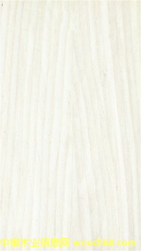 �҃ȿ����T