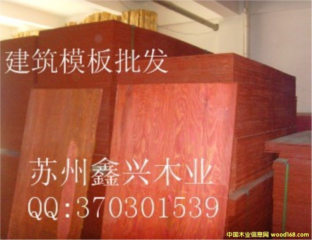 ����ģ�����l(f��)