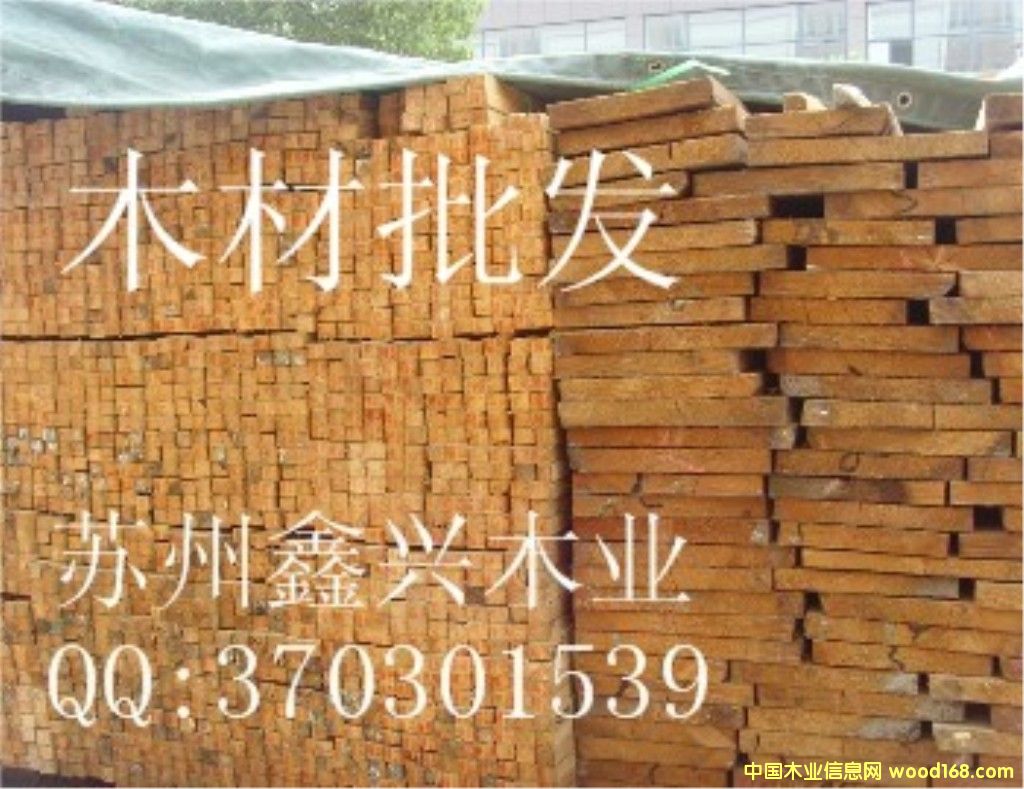 ľ�����l(f��)