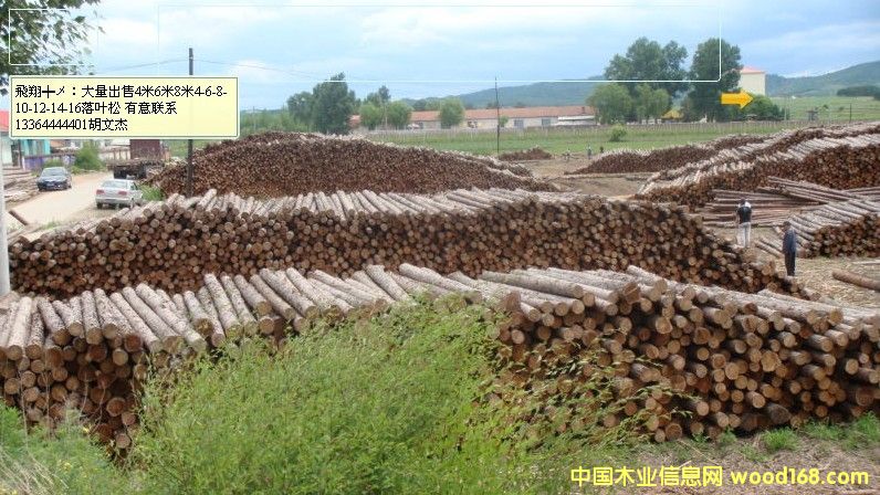 �������~�ɗU��Ԕ��(x��)��B