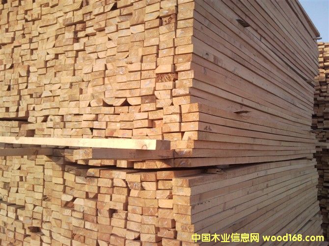 ������ľ��