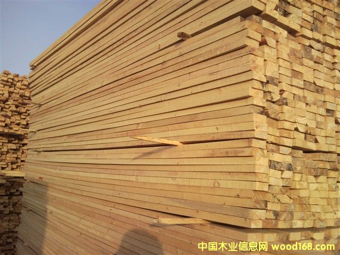 ������ľ��