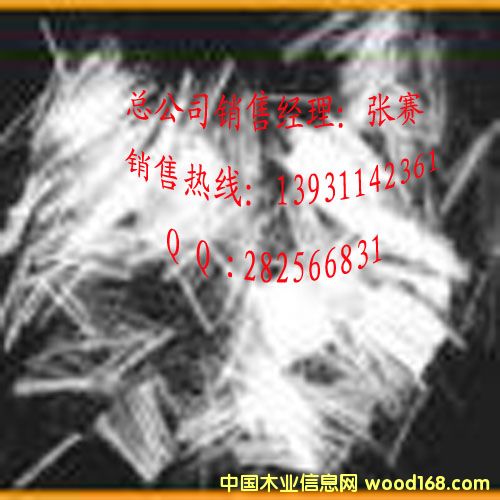 �۱�ϡ���w�S��PP�w�S��