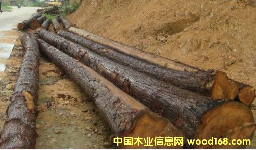 ԭľ��Ԕ��(x��)��B