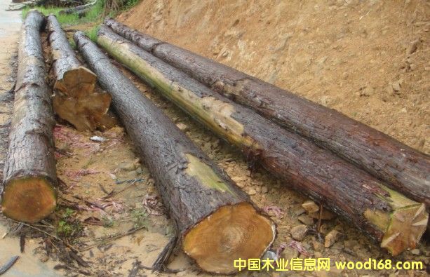 ԭľ��Ԕ��(x��)��B