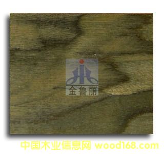 carb�󻨺ں��ҿƼ�ľ��ľ��ľƤ��Ԕ��(x��)��B