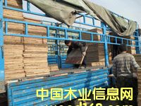 ��(y��u)�|(zh��)�а� �b܇(ch��)�F(xi��n)��(ch��ng)