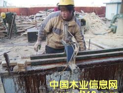 ����ľ�����әC(j��)