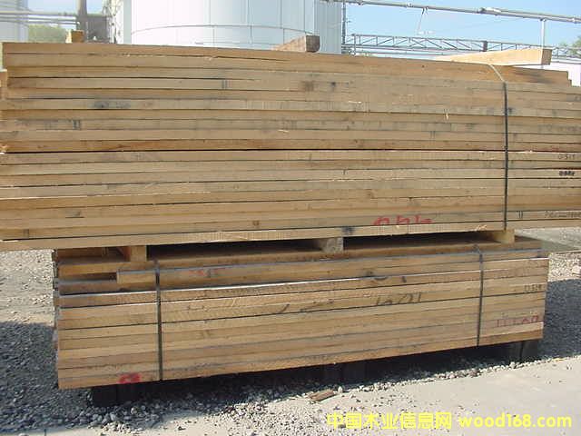 �����t��