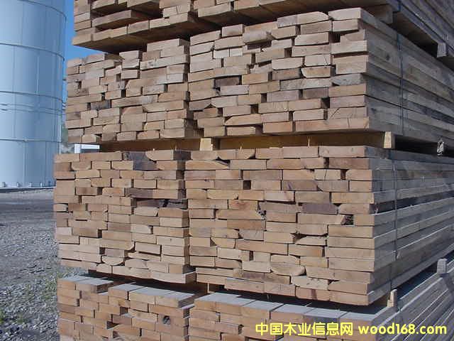 �����t���Ԕ����B