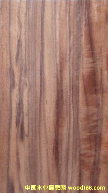 �����ľƴ��7