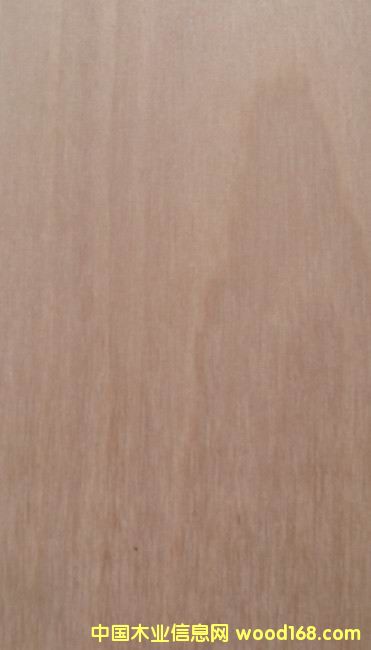 ������Ϙ匍(sh��)ľ����