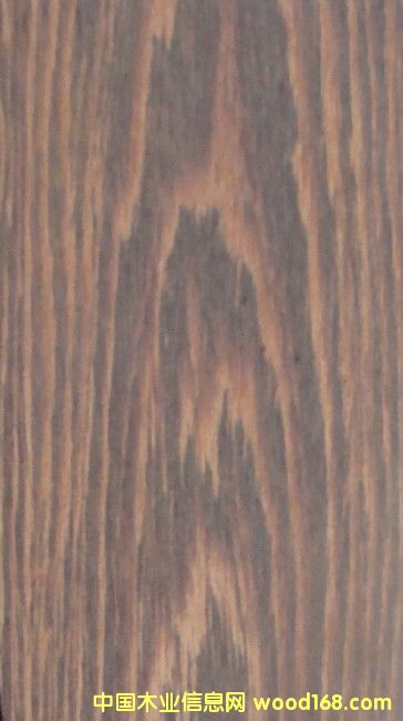 ����F����(sh��)ľ����