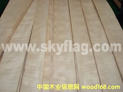 ����ľƤ--0.6��Ӱ