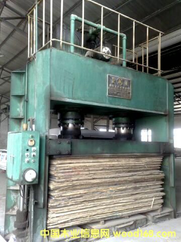 �_���Ԕ����B