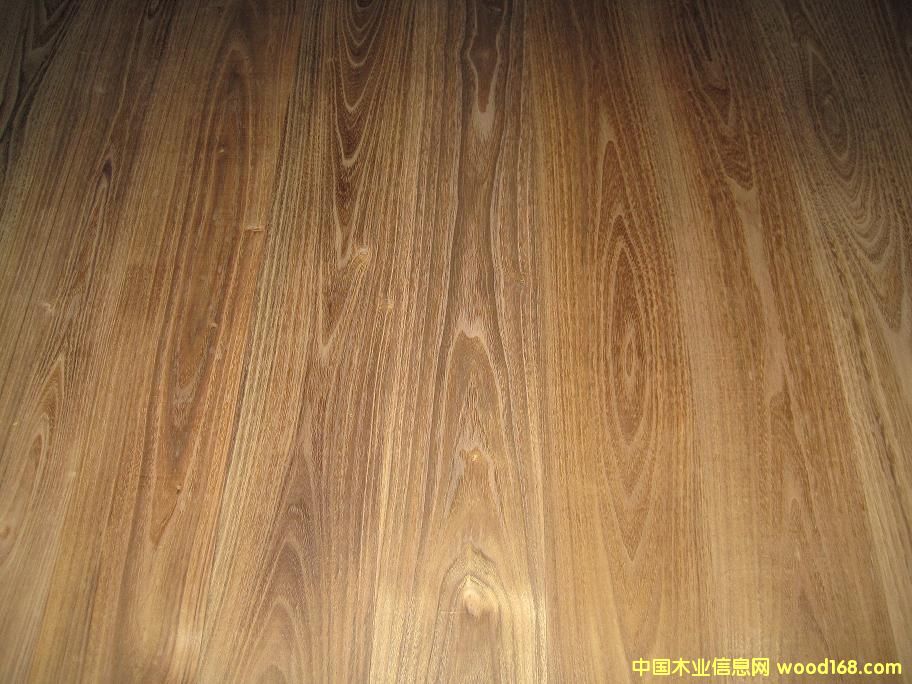 ��ľ�ذ���������ľ��Ԕ����B