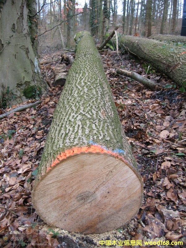 �W�ް�Ϟ(��˨)���вĵ�Ԕ��(x��)��B