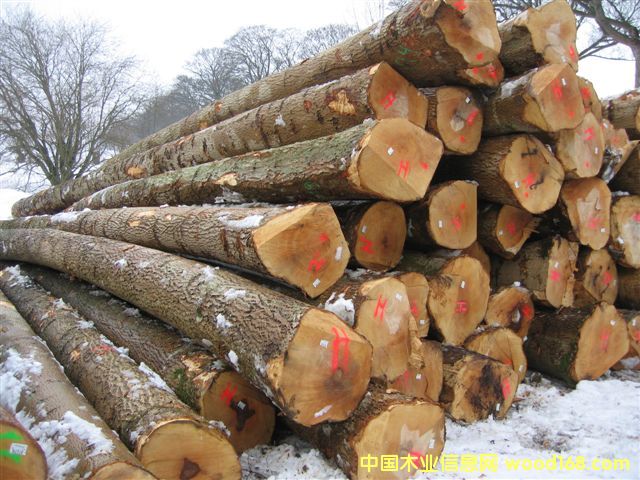 �W�ް�Ϟ/ˮ����ԭľ��Ԕ��(x��)��B