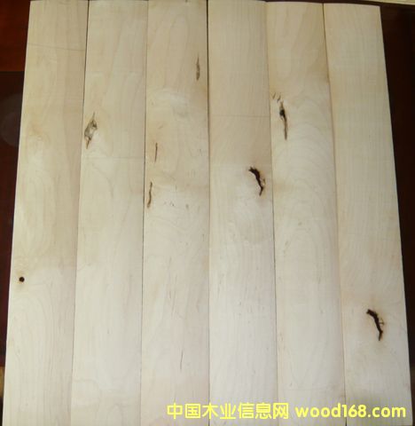 ����Ӳ��ľ����005��Ԕ����B