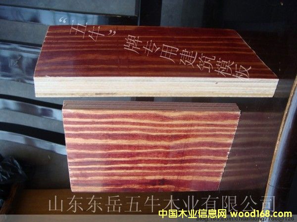 ��ţ����ģ��3��Ԕ����B