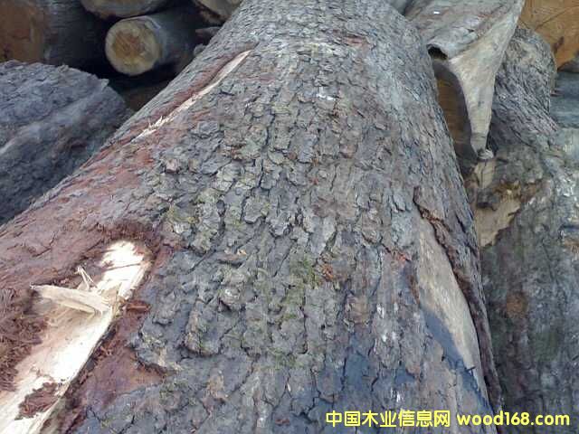 �����Ԕ��(x��)��B