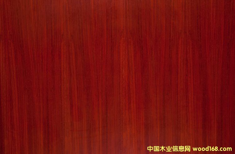 �t��֦��Ԕ��(x��)��B