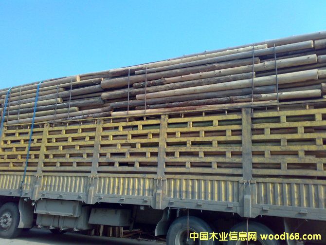 ɼԭľ��Ԕ����B