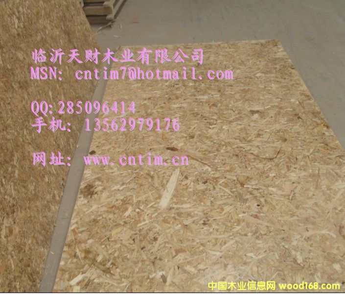 �R����ؔ(c��i)ľ�I(y��)OSB��S �a(ch��n)Ʒ�h(yu��n)�N����13562979176��Ԕ��(x��)��B