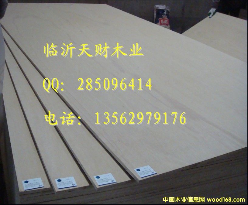 24/25mm�z�ϰ���������(c��)��13562979176