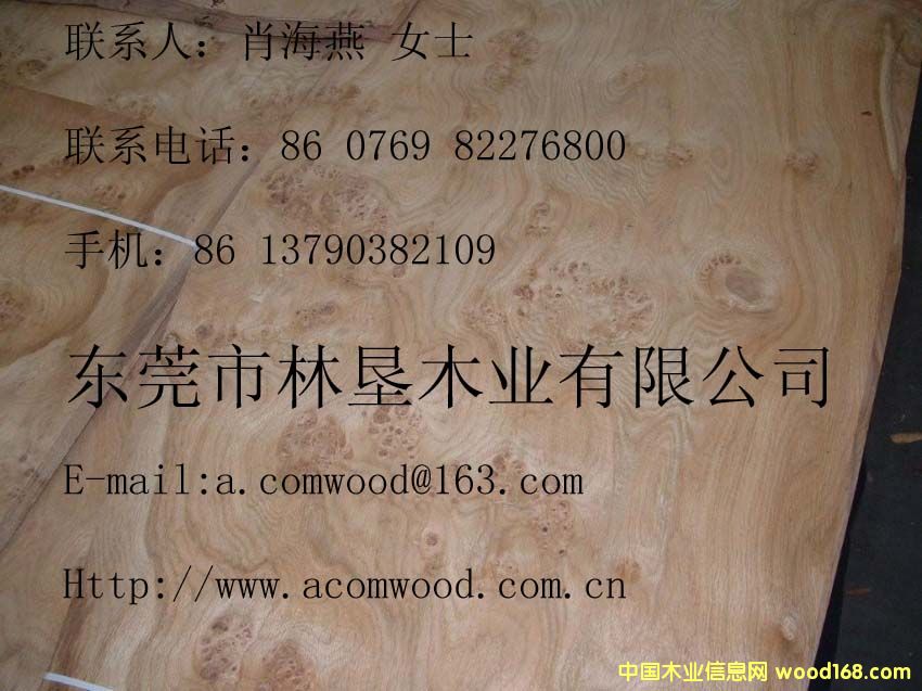 ��ľ�����Ԕ��(x��)��B