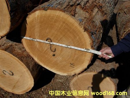 �����t���ĵ�Ԕ��(x��)��B