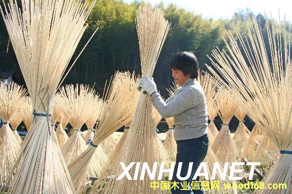 �����2��Ԕ����B